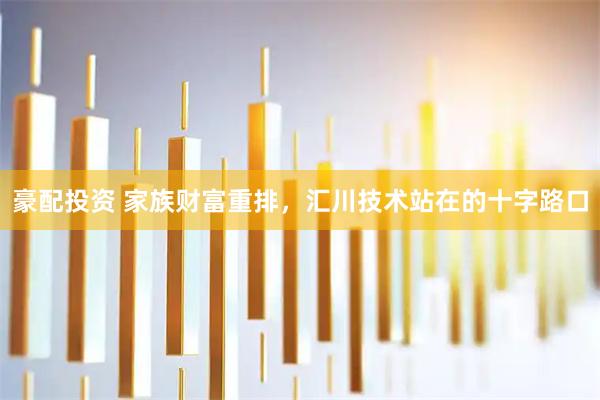 豪配投资 家族财富重排，汇川技术站在的十字路口