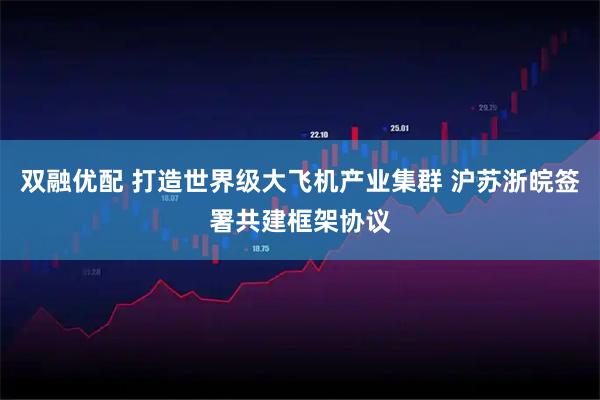 双融优配 打造世界级大飞机产业集群 沪苏浙皖签署共建框架协议