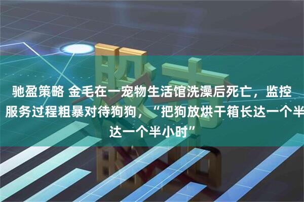 驰盈策略 金毛在一宠物生活馆洗澡后死亡，监控曝光：服务过程粗暴对待狗狗，“把狗放烘干箱长达一个半小时”