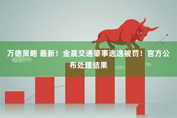 万德策略 最新！金晨交通肇事逃逸被罚！官方公布处理结果