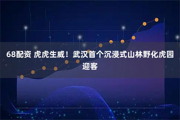 68配资 虎虎生威！武汉首个沉浸式山林野化虎园迎客